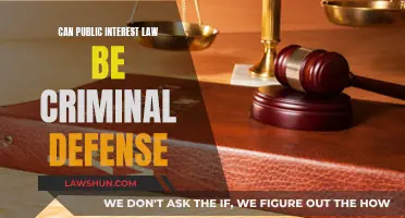 Public Interest Law: Criminal Defense's Intersection