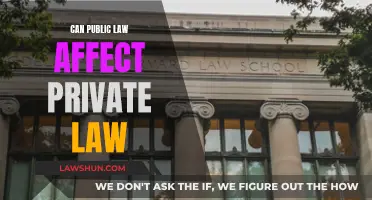 Public Law's Private Law Impact: A Complex Relationship