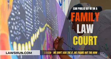 Family Law Court: Can the Public Attend?
