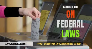 Public Voting on Federal Laws: Democracy's Future?