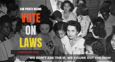Puerto Rico's Political Power: Voting Rights and Lawmaking