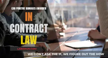 Contract Law: Punitive Damages Possible?