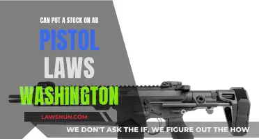 AR Pistol Laws in Washington: Stock Options Explored