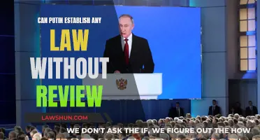 Putin's Power: Laws Without Review?