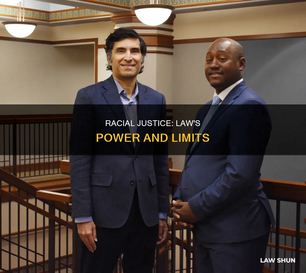 can racial justice be won through the law