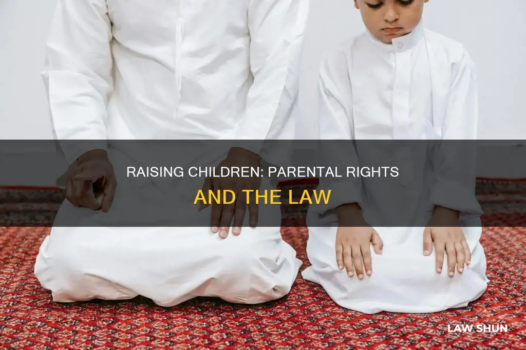 can raise our children how we want law