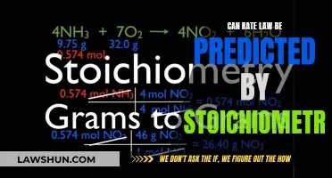 Stoichiometry's Influence on Rate Laws: Predicting Chemical Reaction Rates