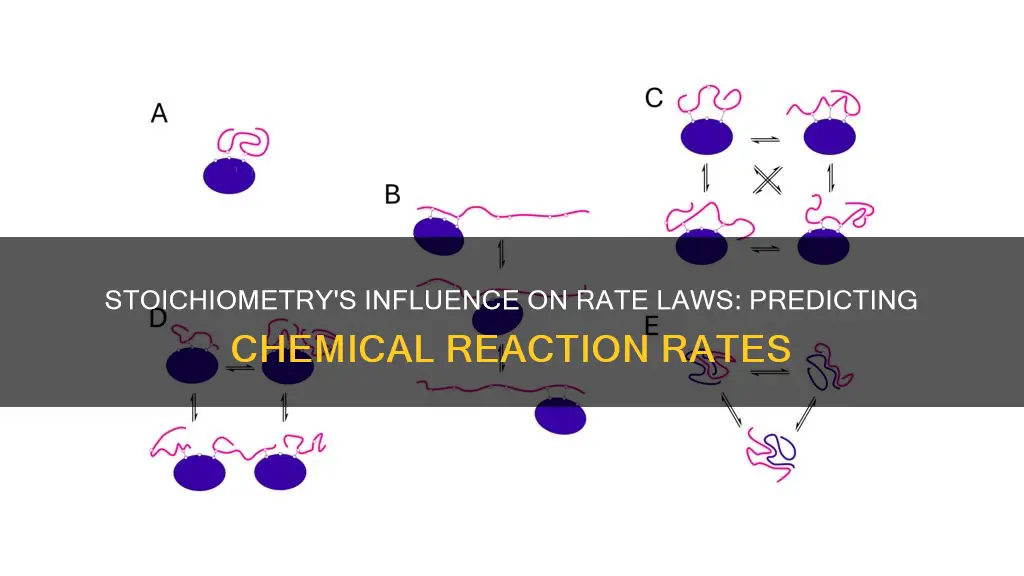can rate law be predicted by stoichiometry