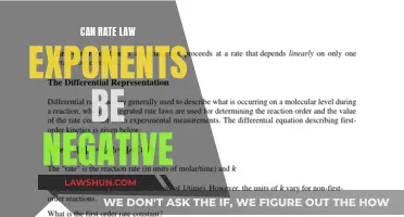Understanding Negative Exponents in Rate Laws