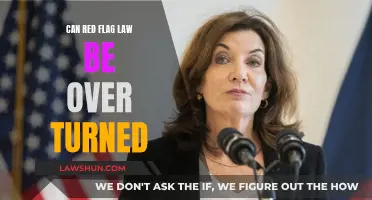 Red Flag Laws: Overturning the Unconstitutional