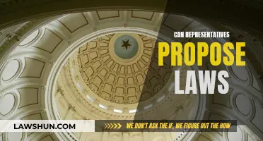 Representatives' Power: Proposing Laws