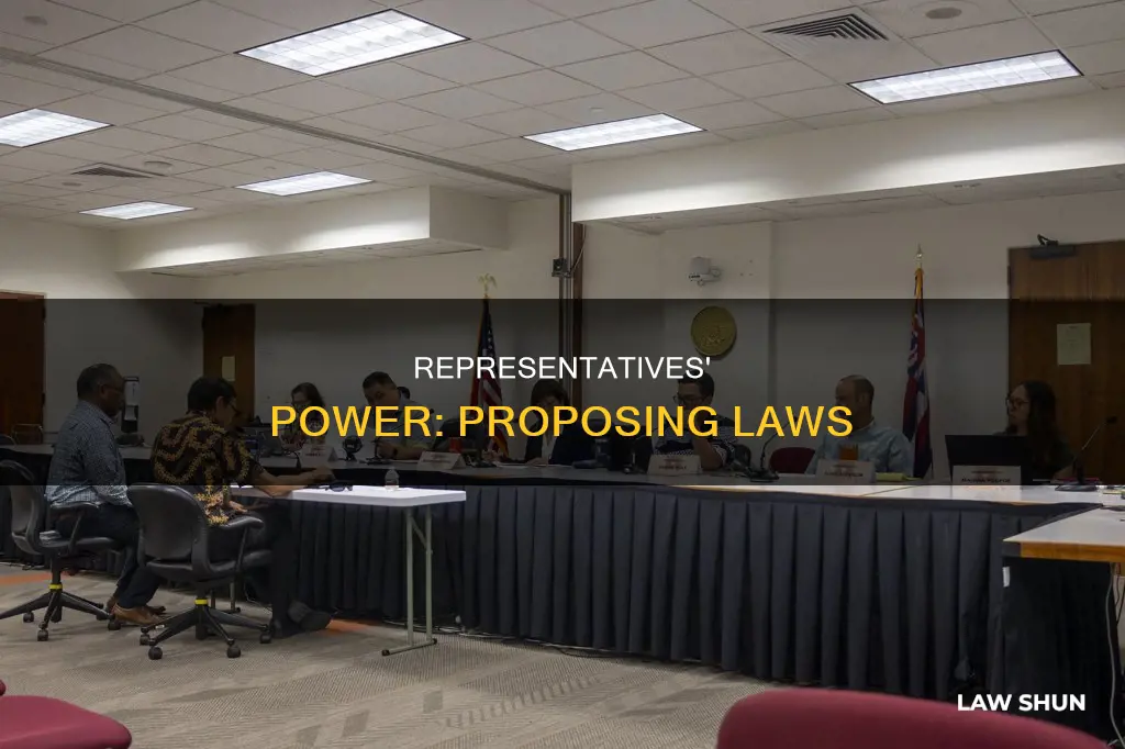 can representatives propose laws