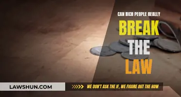 Breaking Laws: Rich People's Privilege?