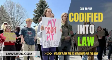 Codifying Roe: The Future of Abortion Law