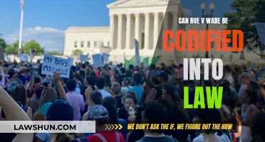 Roe v Wade: Can It Be Law?