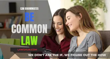 Roommates and Common Law: What's the Verdict?