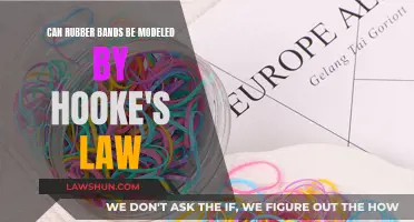 Rubber Bands and Their Elastic Nature: Hooke's Law Application