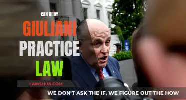 Rudy Giuliani's Law Career: Revoked or Restored?