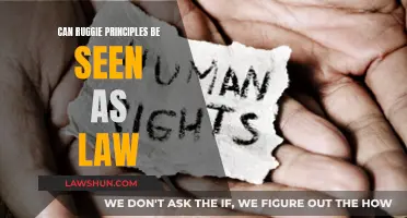 Ruggie Principles: A New Legal Framework?