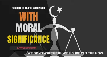 Moral Law: Rule's Significance and Morality
