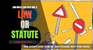 Rules vs. Laws: Who Wins?