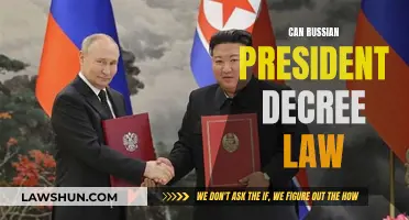 Russia's Presidential Powers: Can Putin Decree Law?
