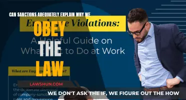 Sanctions and the Law: Why We Obey