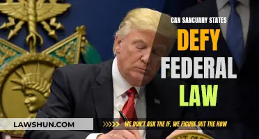 Sanctuary States: Defying Federal Law?