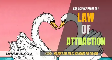 Science and the Law of Attraction: Is It Real?