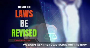 Scientific Laws: Immutable or Evolving?