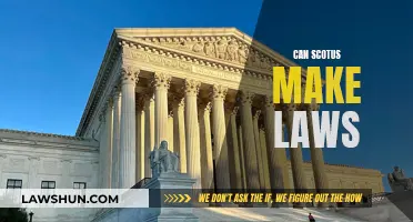 SCOTUS and Lawmaking: Who Really Makes the Laws?
