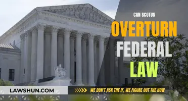 SCOTUS and Federal Law: Who Has the Final Say?
