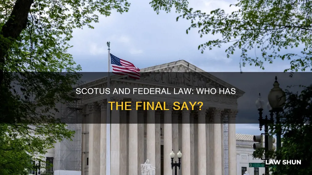 can scotus overturn federal law