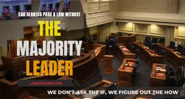 Senate Lawmaking: Majority Leader's Role