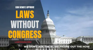 Senate's Power: Can It Pass Laws Without Congress?