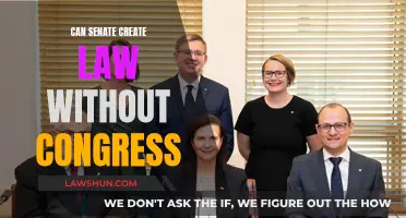 Senate's Power to Create Laws Without Congress