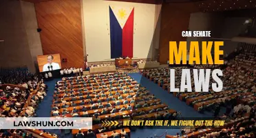The Senate's Lawmaking Power: Explained