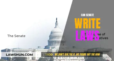 The Senate's Power: Lawmakers or Law Writers?