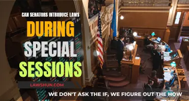 Special Sessions: Senators' Law-Making Powers Explored