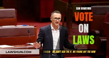 Senators' Voting Powers: Lawmaking Decisions
