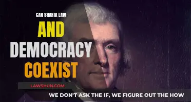 Sharia Law and Democracy: Compatible or Conflicted?