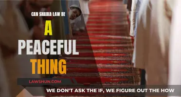 Sharia Law: A Force for Peace?
