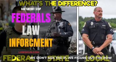 Sheriff's Authority Over Federal Law Enforcement: Explained