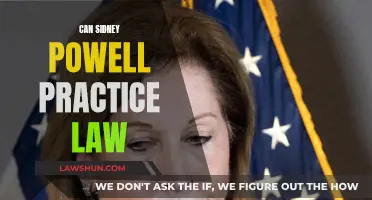 Sidney Powell: Can She Still Practice Law?
