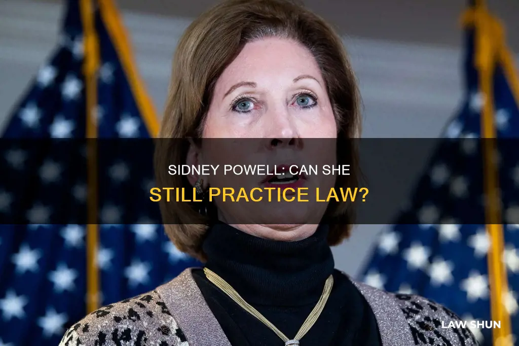 can sidney powell practice law
