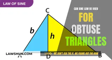 Sine Law: Friend or Foe to Obtuse Triangles?