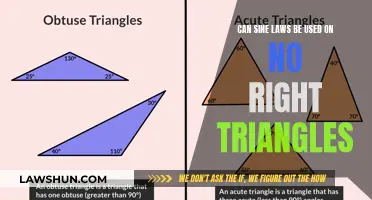 Sine Laws: Beyond Right Triangles?