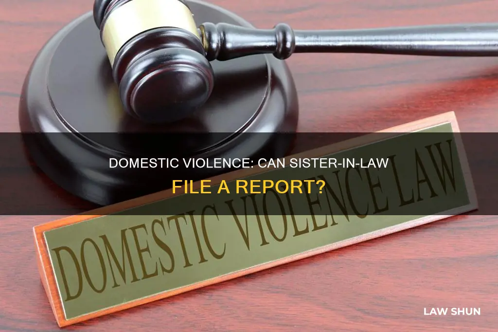 can sister in law file for domestic violence