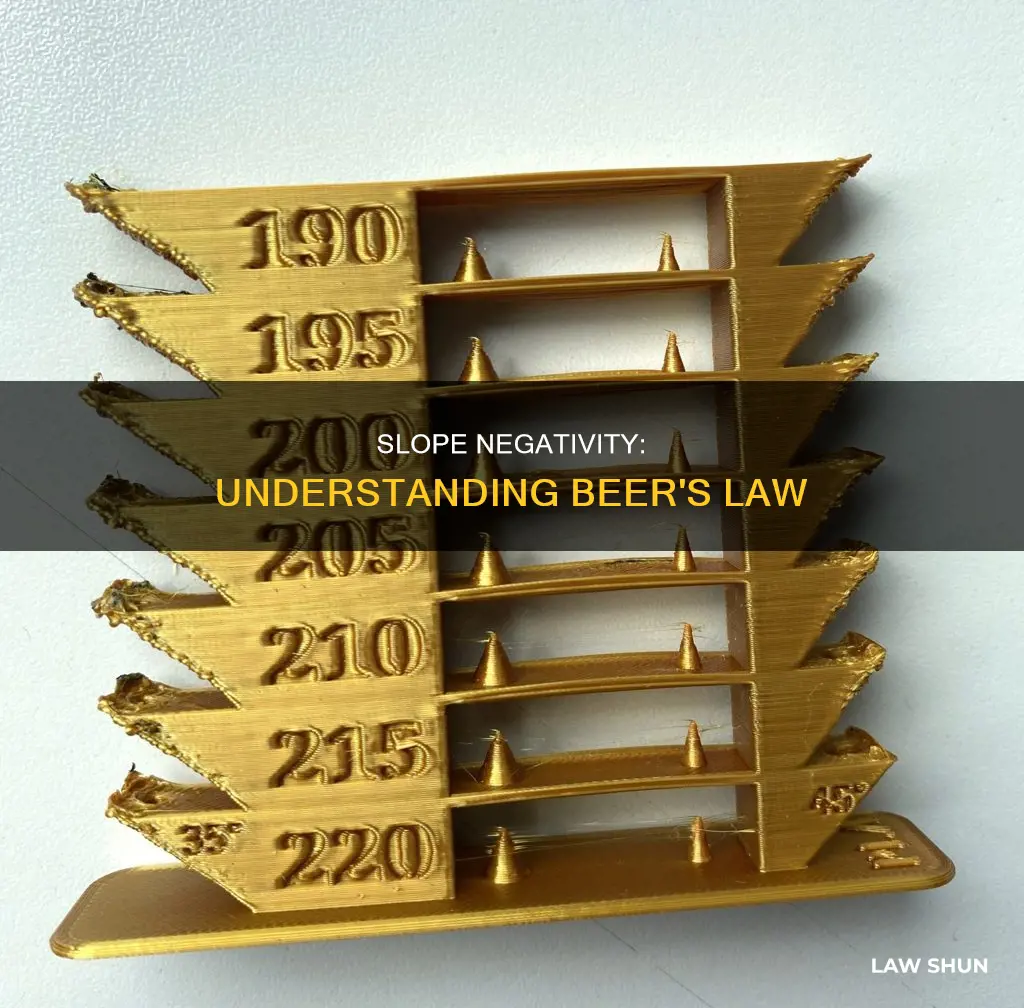 can slope be negative in beer