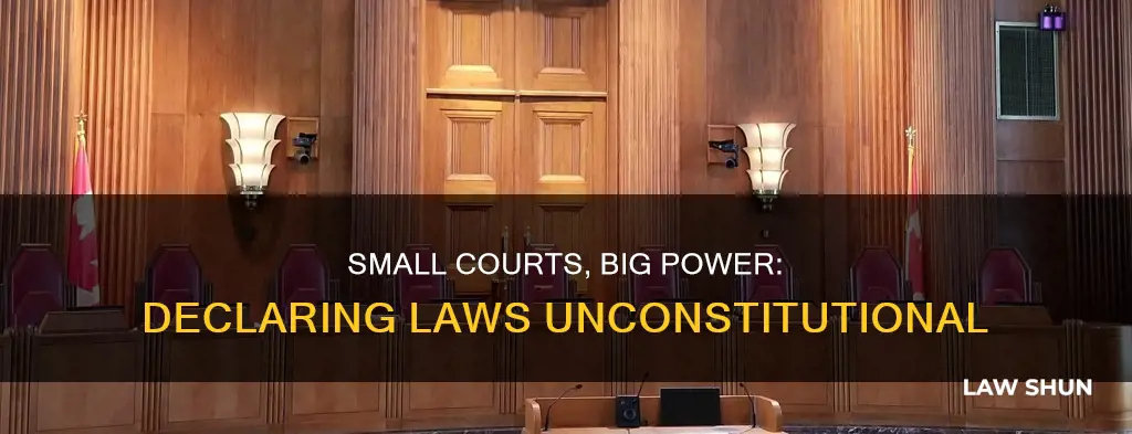 can small courts declare laws unconstitutional